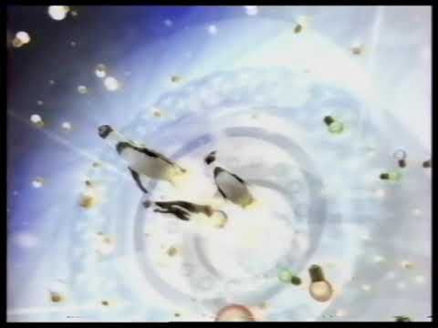 Короткая межпрограммная заставка СТС (2004-2005) [Зимняя]