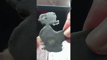 Мочеполовая система.