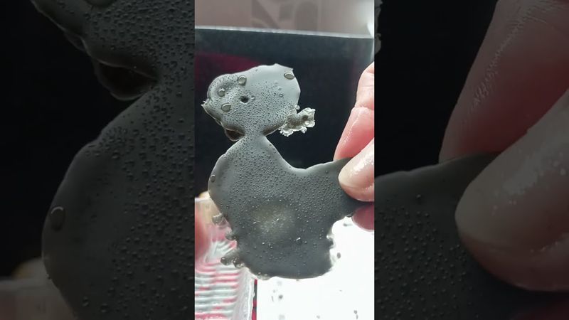 Мочеполовая система.