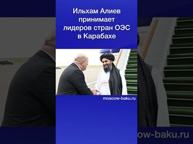 Ильхам Алиев принимает лидеров стран ОЭС в Карабахе
