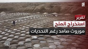 حرفة استخراج الملح في المخا.. موروث صامد رغم التحديات