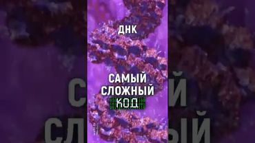 ДНК возникла случайно? Самый сложный "код" во Вселенной