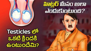 Interesting Facts in Telugu |  Why Hitlers mustache short | Telugu Facts