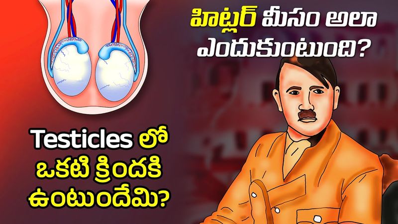Interesting Facts in Telugu |  Why Hitlers mustache short | Telugu Facts