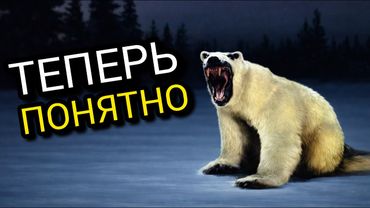 ЧТО СКРЫВАЕТ мем с медведем из 2026 года?