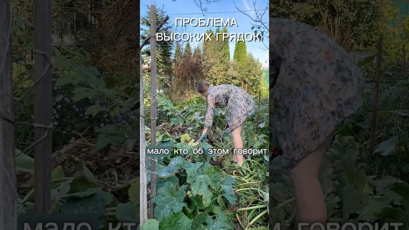Высокие грядки проблема