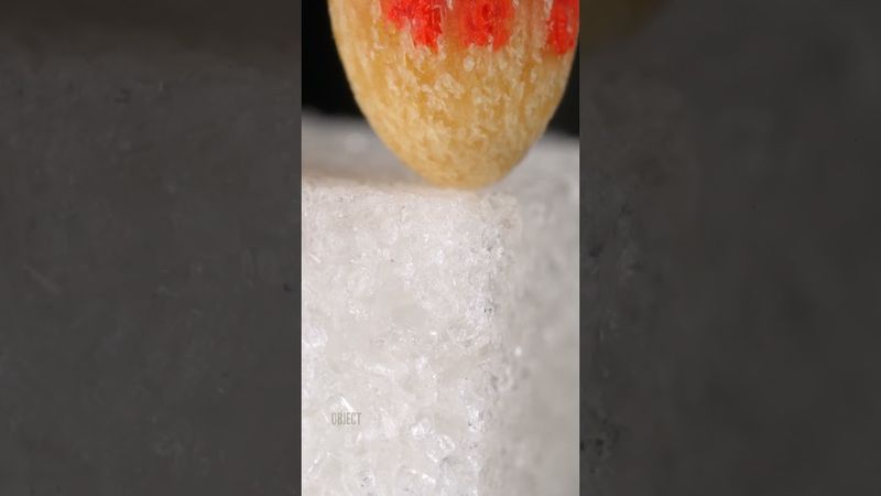 Marker & Sugar Close-Up