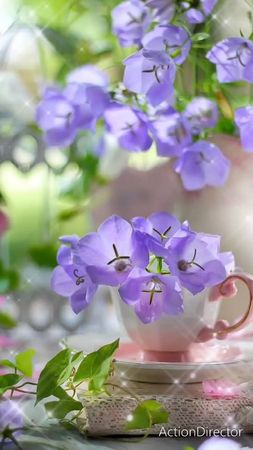 С добрым утром! С новым днём!