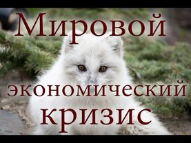 Мировой экономический кризис причина и решение