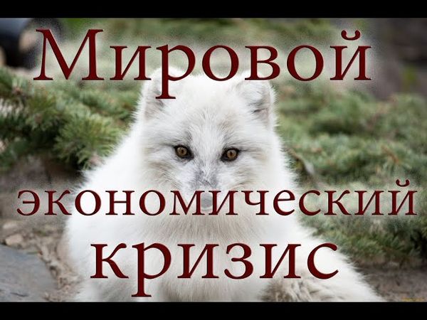 Мировой экономический кризис причина и решение
