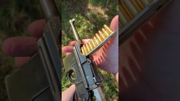 The Choice of an Avid Gun Collector