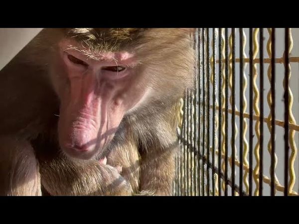 Малышка Анфиса заснула и мама Лида стала беречь ее сон слишком ревностно