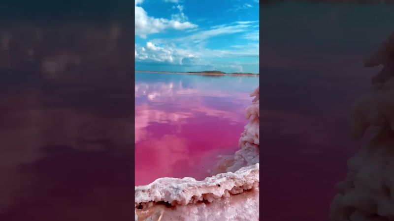 красивые видео про природу переходите по ссылке в описании