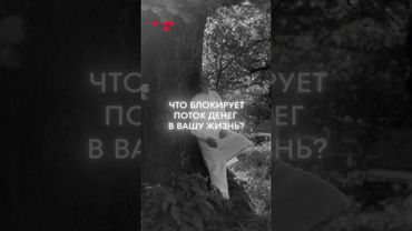 Что блокирует ПОТОК ДЕНЕГ в вашу жизнь? #аллафилина #путьгероя #саморазвитие #деньги