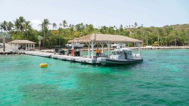 Inside the Private Island Where Jeffrey Epstein Trafficked Teen Girls