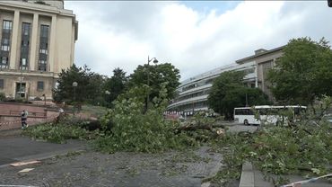Fallen branches block roads after Paris storm | AFP