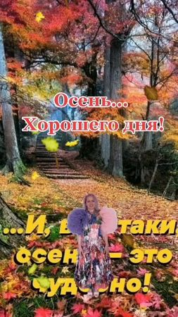#осень #сначаломосени #сентябрь #чудесногодня #счастьяилюбвивамдрузья