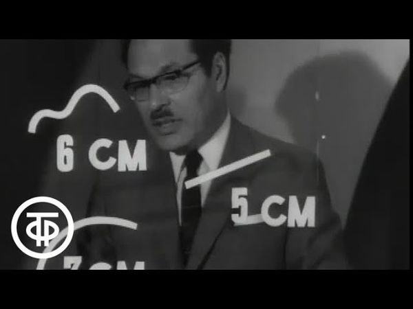 Высшая математика. Общее понятие функции. Профессор Анатолий Мышкис (1970)