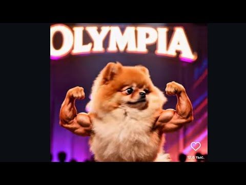 И СНОВА О ГЛАВНОМ ☝🏾| #духота #bodybuilding