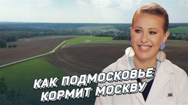 Как Подмосковье кормит Москву – Фермеры. Аграрии. Инновации.