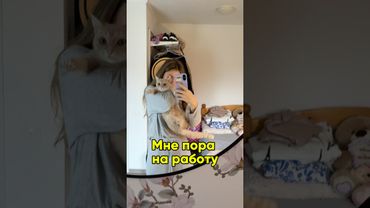 Золотые слова✨ #рыжийкот #кошки #золотыеслова #юмор #доброеутро #работа #смешно