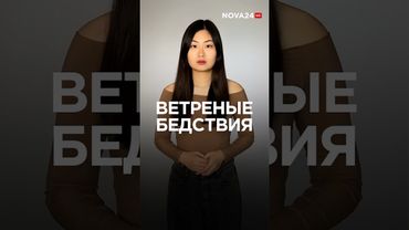 В Узбекистане ветер срывает крыши и сносит деревья #ташкент #новости #узбекистан