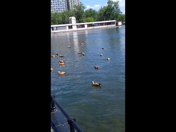 Москва. Телецентр Останкино