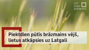 20. jūnija laika ziņas