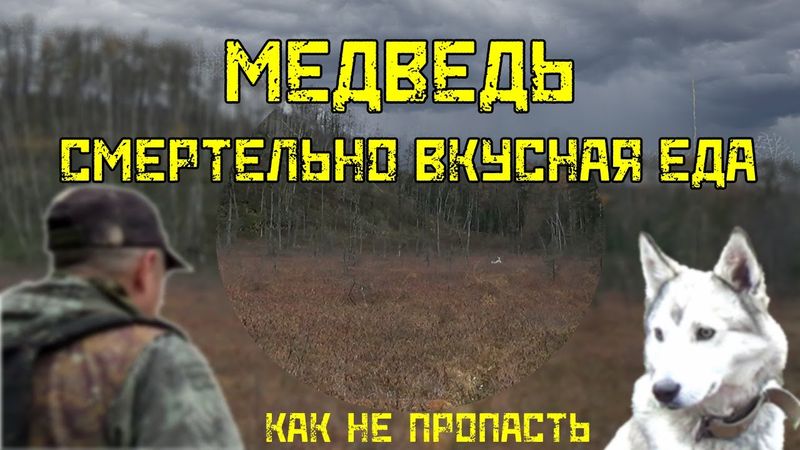 Медведь. Смертельно вкусная еда. Как не пропасть