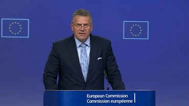 EU cars and pharmaceuticals get 15% tariff under US trade deal | AFP