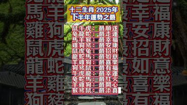 ✨ 十二生肖 2025 下半年運勢之最 ✨留言：你中了幾個！