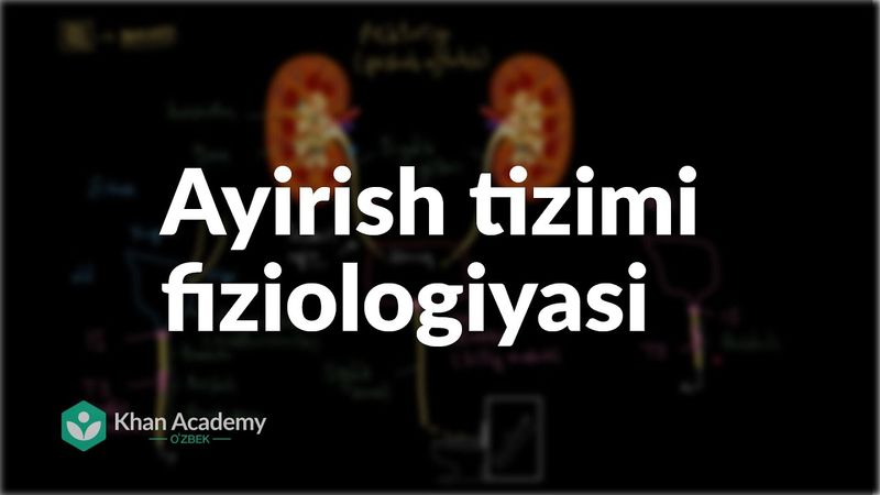 Ayirish tizimi fiziologiyasi | Ayirish tizimi | Tibbiyot