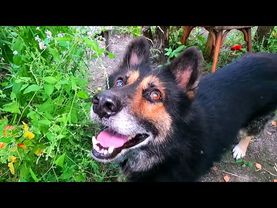 #Славянск. 5 сентября 2025г. Вечер.