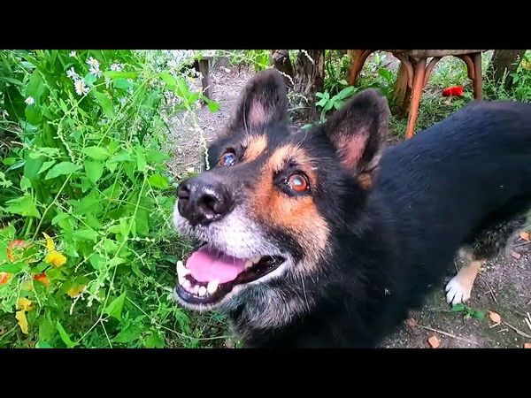 #Славянск. 5 сентября 2025г. Вечер.