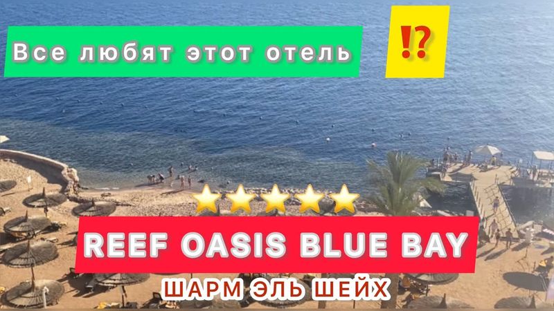 MIGLIORE BARRIERA CORALLINA ❤️ REEF OASIS BLUE BAY RESORT / Prima linea / Sharm el-sheikh / Migli...