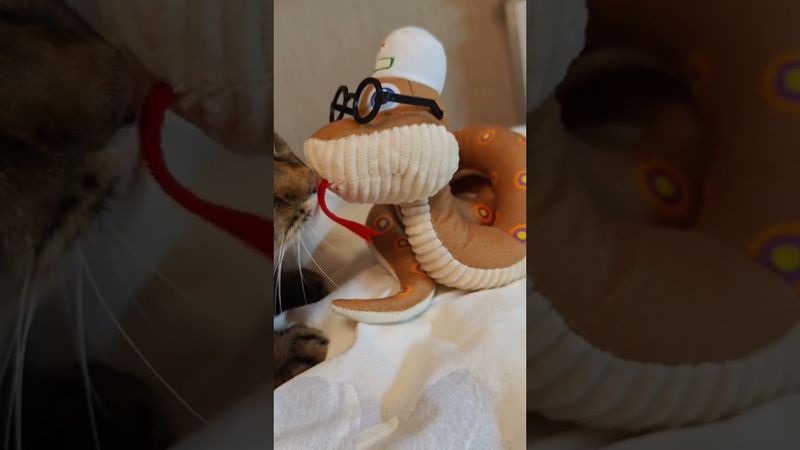 МедикаМент 🚑🚔🙀🤣#cat #кот #юмор #котушка #приколы #цитаты #смех