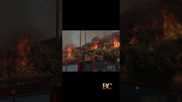 Lebih dari 5.000 orang dievakuasi akibat kebakaran hutan yang melanda pulau Kreta, Yunani
