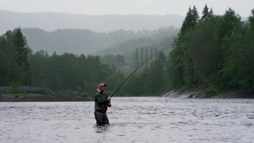 Disappearing wild salmon spark concern among Norwegian anglers | AFP