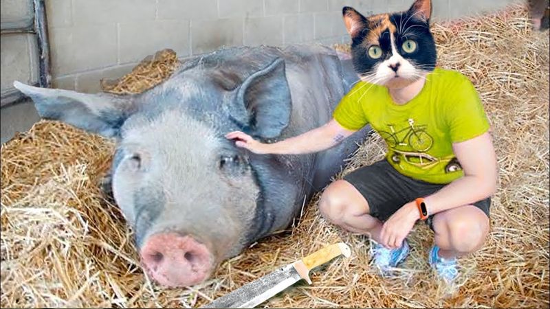 HACER JABÓN DE UN CERDO