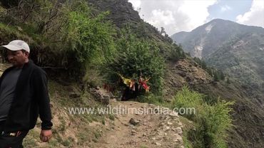 Dodital trek from Agoda & Uttarkashi: The Emerald Lake in Garhwal makes for one of the nicest treks