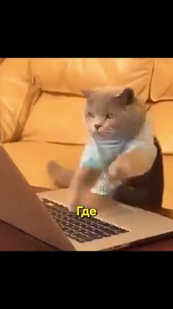 куда бежать из телеги? #телеграм #дуров 