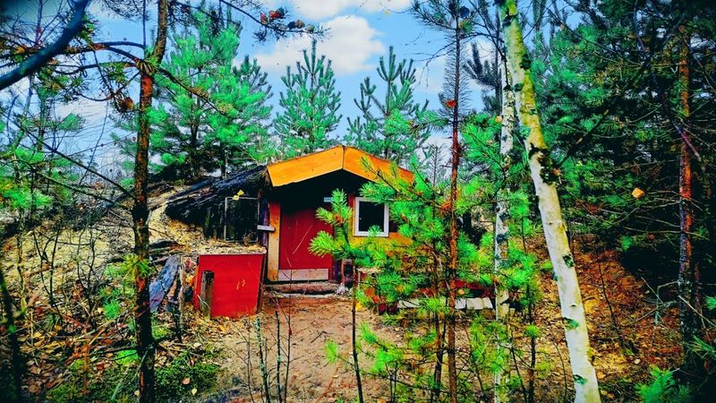 Приехали в землянку. Конец октября. Землянка как дача.