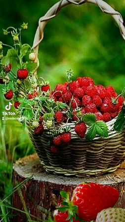 Доброе утро!#Доброе_утро!