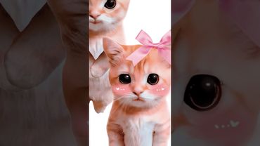 Почему тебе не дают? Кисы объясняют 😻