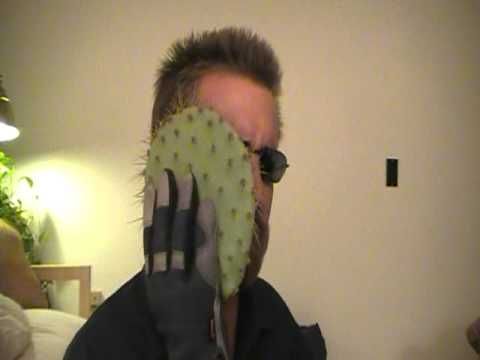 cactus slap.MOD