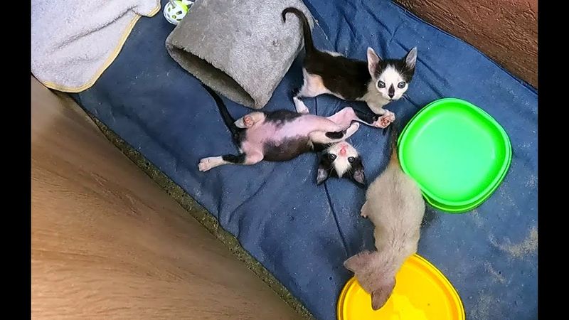 #Славянск. 22 июля 2025г. Вечер.