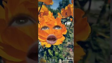 Мем | О, мама мия, белиссимо, грация! Оригинал мема