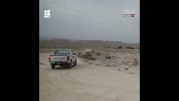 الفاو: الجفاف يهدد موسم الزراعة في اليمن