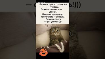 Заснуть легко… кроме когда пытаешься😆#смех #юмор #прикол
