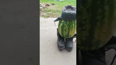 Смирно встал👺#арбуз